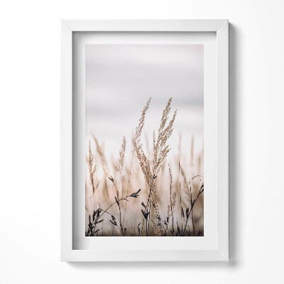 Obraz w ramie Natura trawa styl boho