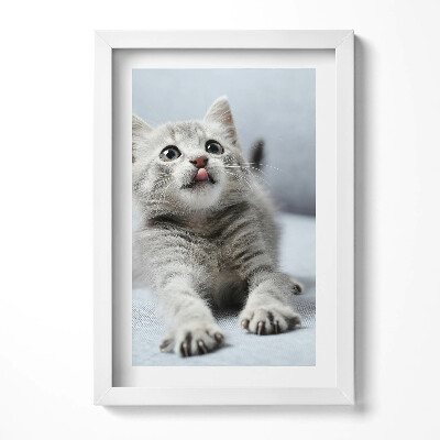 Obraz w ramie Uroczy mały kotek na kanapie