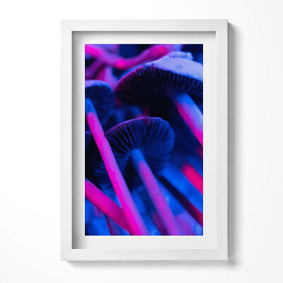 Obraz w ramie Magiczne kolorowe grzyby