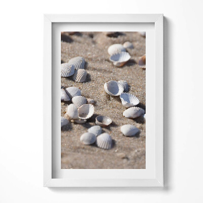 Obraz w ramie Muszelki na plaży