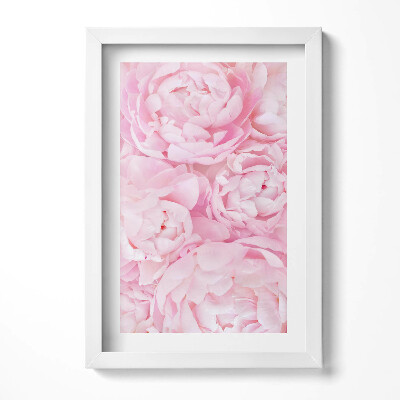 Obraz w ramie Kwitnące kwiaty