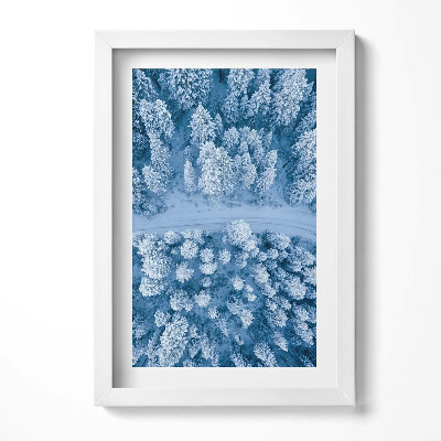 Obraz w ramie Las z lotu ptaka Dron