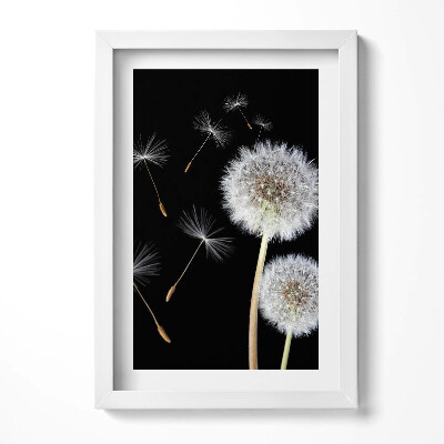 Obraz w ramie Dwa dmuchawce