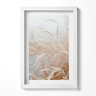 Obraz w ramie Delikatne trawy w stylu boho