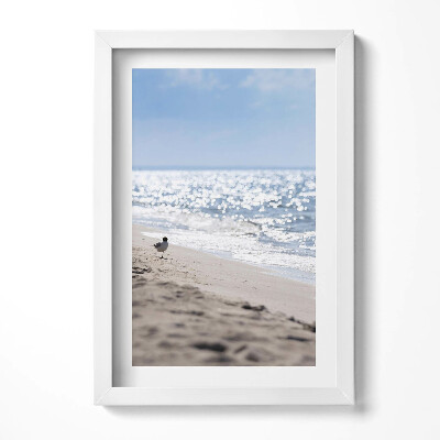 Obraz w ramie Morskie fale i ptak na plaży