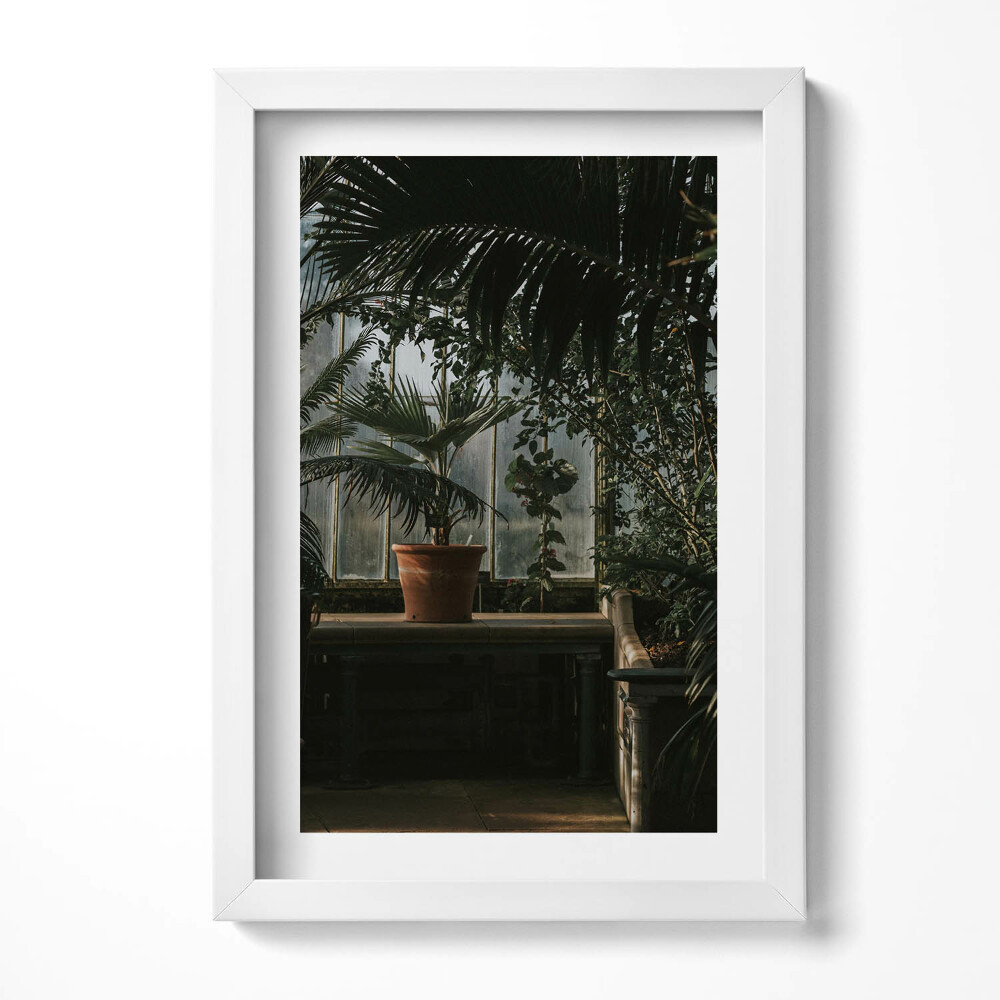 Obraz w ramie Vintage rośliny na oknie