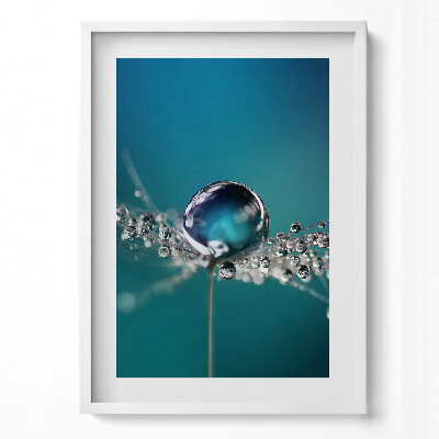 Obraz pionowy Kropla rosy na dmuchawcu