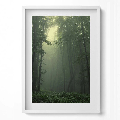 Obraz pionowy Mglisty las o poranku