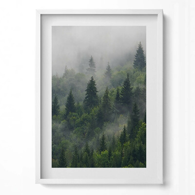 Obraz pionowy Pejzaż las we mgle