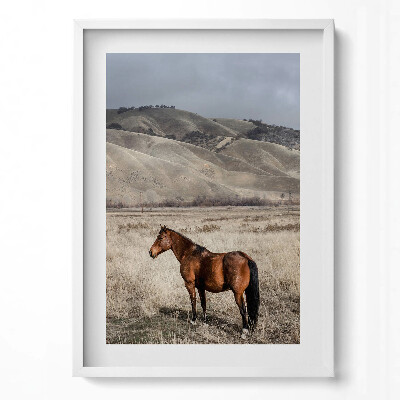 Obraz pionowy Koń rumak wśród traw