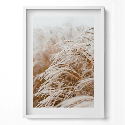 Obraz pionowy Delikatne trawy w stylu boho