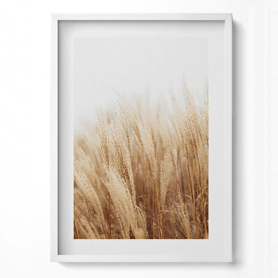 Obraz pionowy Pejzaż delikatnych traw boho