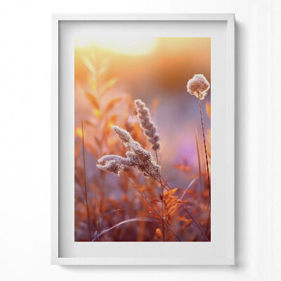 Obraz pionowy Boho trawy o wschodzie słońca