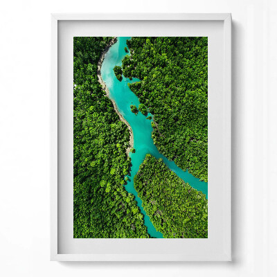 Obraz pionowy Rzeka w tropikalnych lasach z lotu ptaka