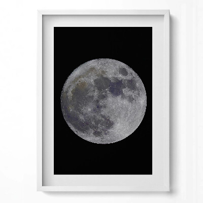 Obraz pionowy Pełnia księżyca na czarnym niebie