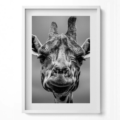 Obraz pionowy Czarno-biała głowa żyrafy