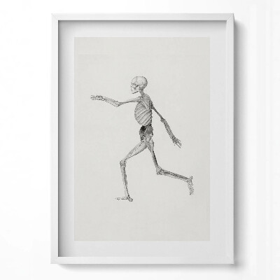 Obraz pionowy Rysunek kościotrupa