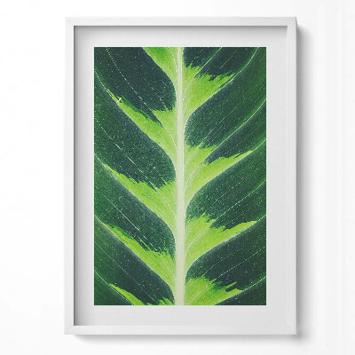 Obraz pionowy Faktura i żyłki liścia