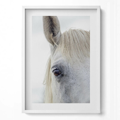 Obraz pionowy Głowa białego konia rumaka