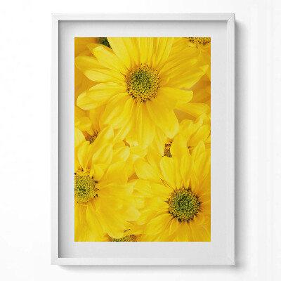 Obraz pionowy Kwiaty płatki