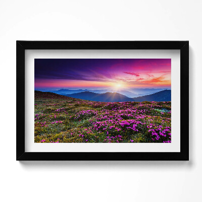 Obraz w ramie Wschód słońca kwiaty