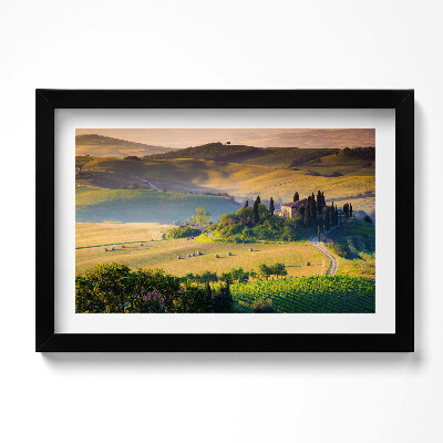 Obraz w ramie Swojski letni pejzaż pól