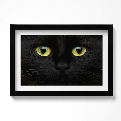Obraz w ramie Zwierzę kocie oczy