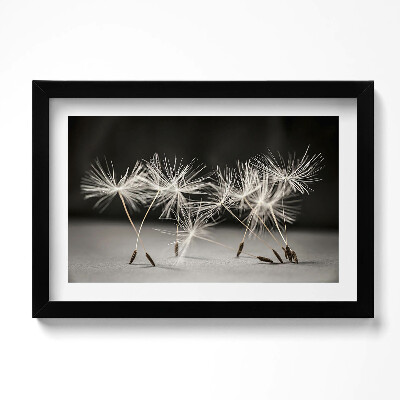 Obraz w ramie Delikatne pyłki dmuchawca