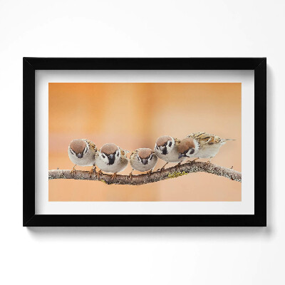 Obraz w ramie Ptaki na gałęzi