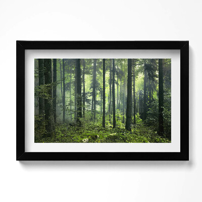 Obraz w ramie Pejzaż drzew i roślinności lasu