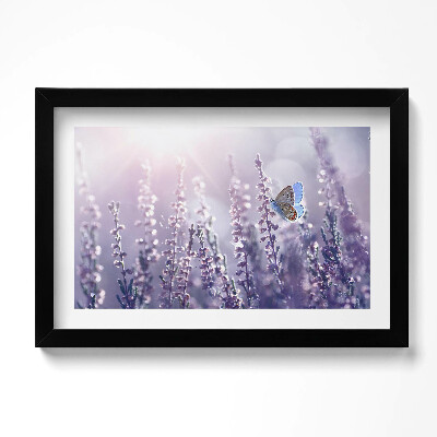 Obraz w ramie Motyl na polnych kwiatach