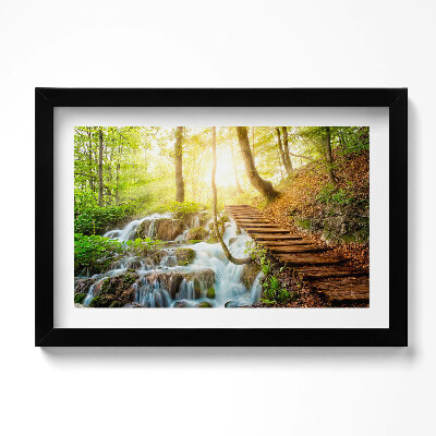 Obraz w ramie Strumień i schody w lesie