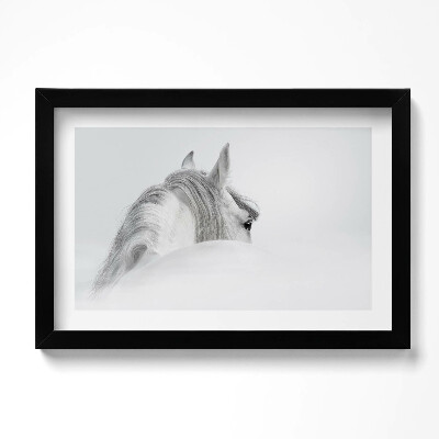 Obraz w ramie Koń andaluzyjski we mgle