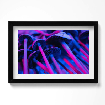 Obraz w ramie Magiczne kolorowe grzyby