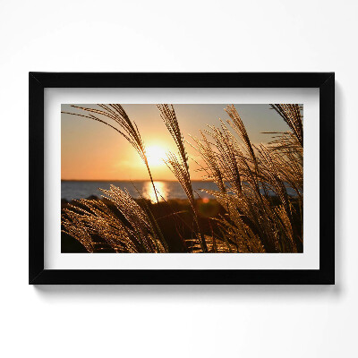 Obraz w ramie Pszenica W Złotej Godzinie