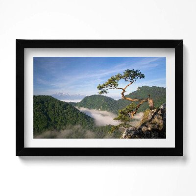 Obraz w ramie Sokolica Wierch w Pieninach