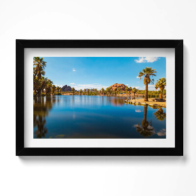 Obraz w ramie Sceneria parku Papago