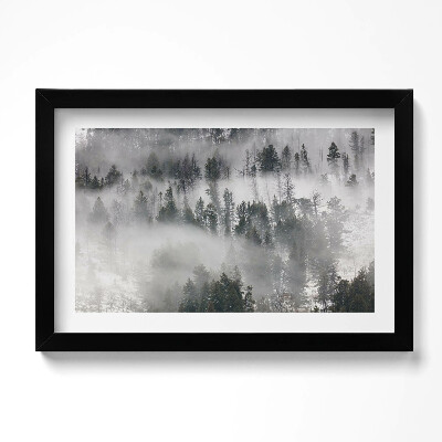 Obraz w ramie Pejzaż zamglony las