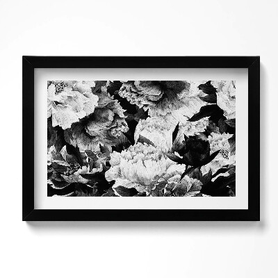 Obraz w ramie Czarno-białe kwiaty piwonie