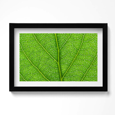 Obraz w ramie Żyłki zielonego liścia