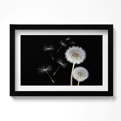 Obraz w ramie Dwa dmuchawce