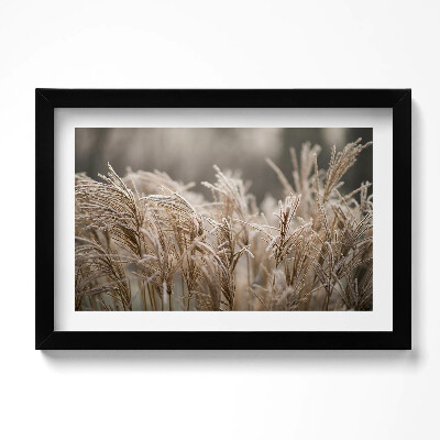 Obraz w ramie Boho delikatne trawy