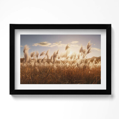Obraz w ramie Romantyczny zachód słońca nad trawami