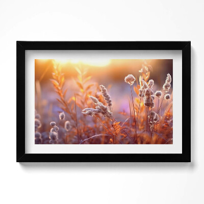 Obraz w ramie Boho trawy o wschodzie słońca