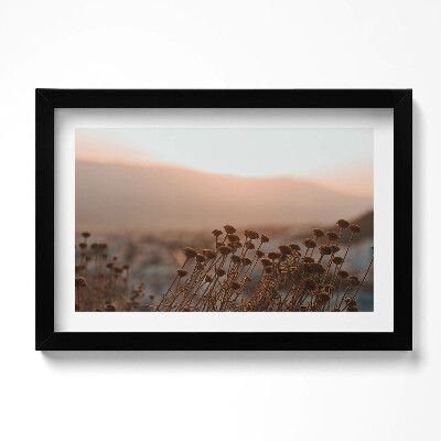 Obraz w ramie Boho romantyczny pejzaż traw