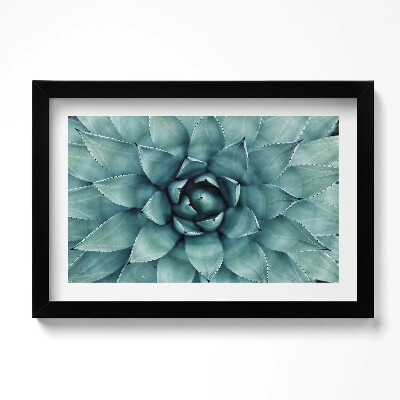 Obraz w ramie Zielona roślina sukulent