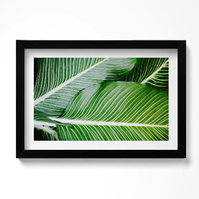 Obraz w ramie Egzotyczne zielone liście