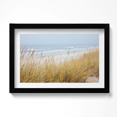 Obraz w ramie Pejzaż nadmorskiej plaży i traw