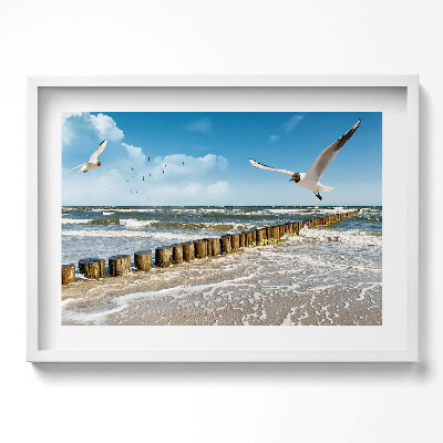 Obraz w ramie Ptak nad morzem