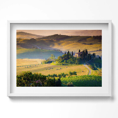 Obraz w ramie Swojski letni pejzaż pól